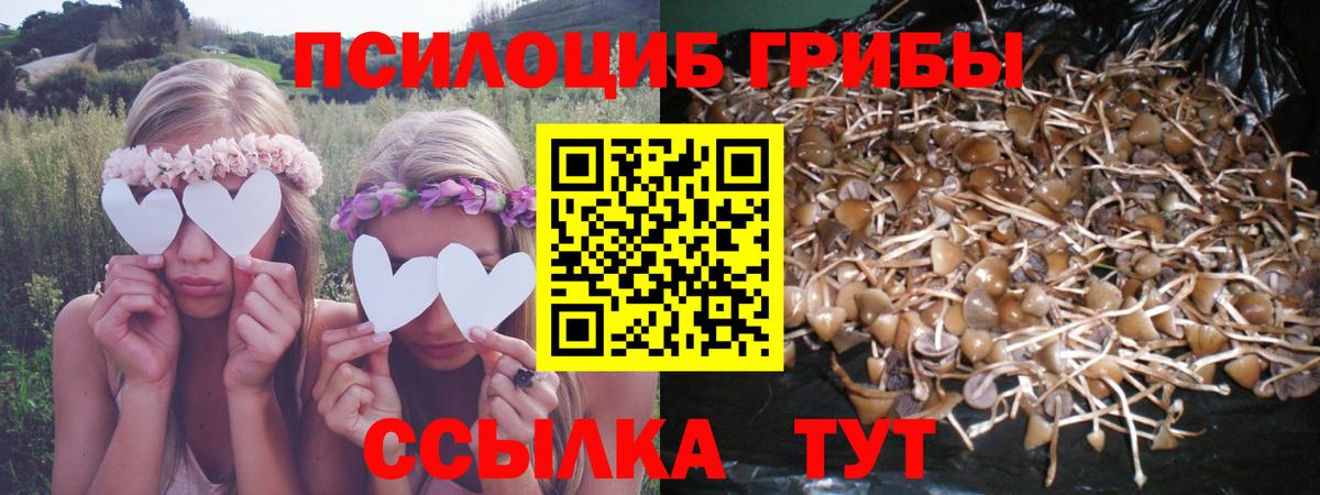 Галлюциногенные грибы мухоморы  Вход с VPN  Ульяновск  Псилоцибиновые грибы мухоморы 